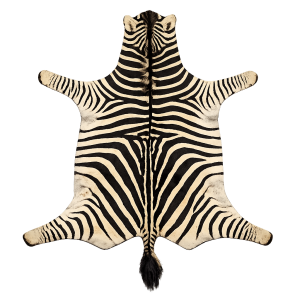Zebra Hide Rug